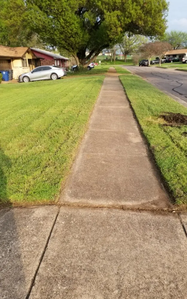 Affordable landscape installation for beautiful yards across Garland, TX - Tolentino’s Landscaping