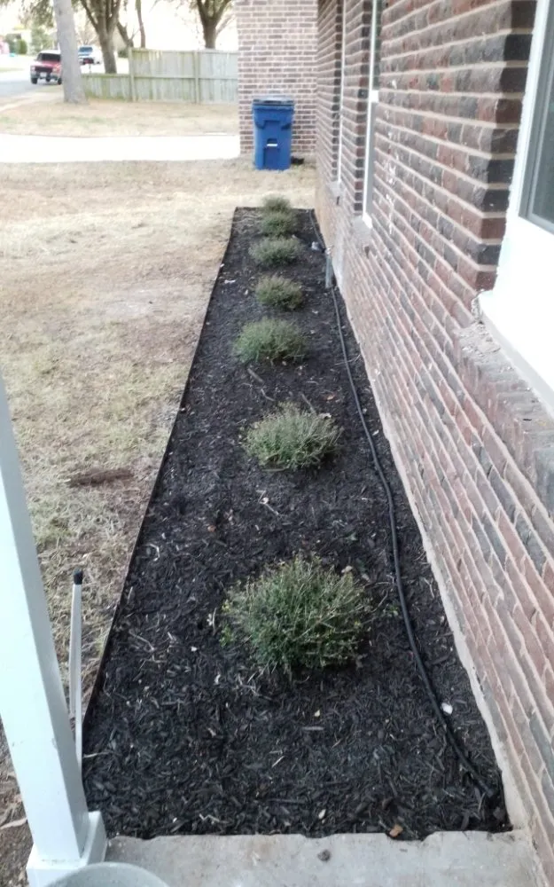 Local residential landscaping in Garland, TX by Tolentino’s Landscaping