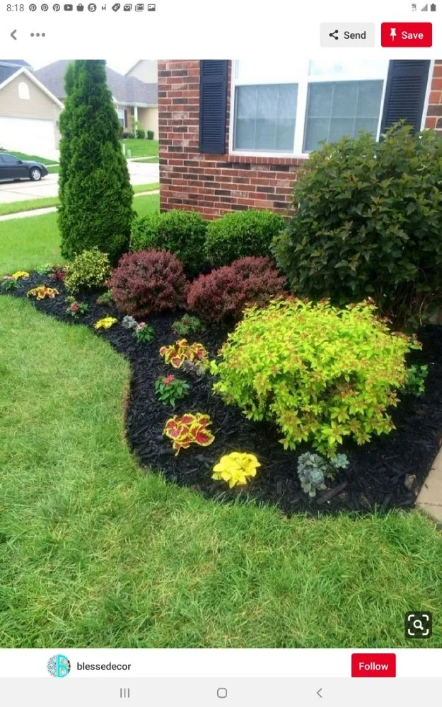 Local landscaping services for year-round maintenance across Garland, TX - Tolentino’s Landscaping