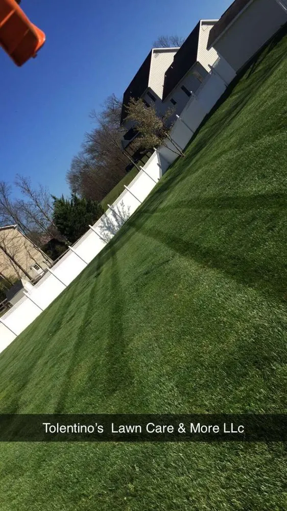 Local yard cleanup service in Winchester, VA by Tolentino's Lawn Care