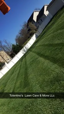 Tolentino's Lawn Care Logo