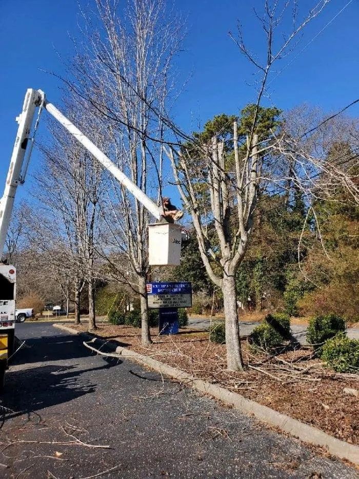 Expert landscape design in Iron Station, NC - Toler's Tree & Lawn Service