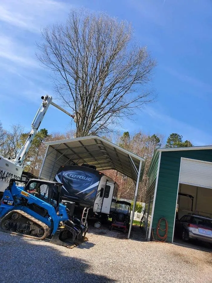 Expert yard cleanup service for beautiful yards across Iron Station, NC - Toler's Tree & Lawn Service