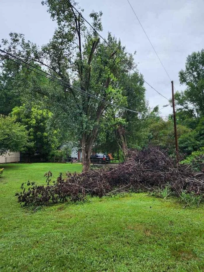 Trusted yard maintenance for homes across Iron Station, NC - Toler's Tree & Lawn Service