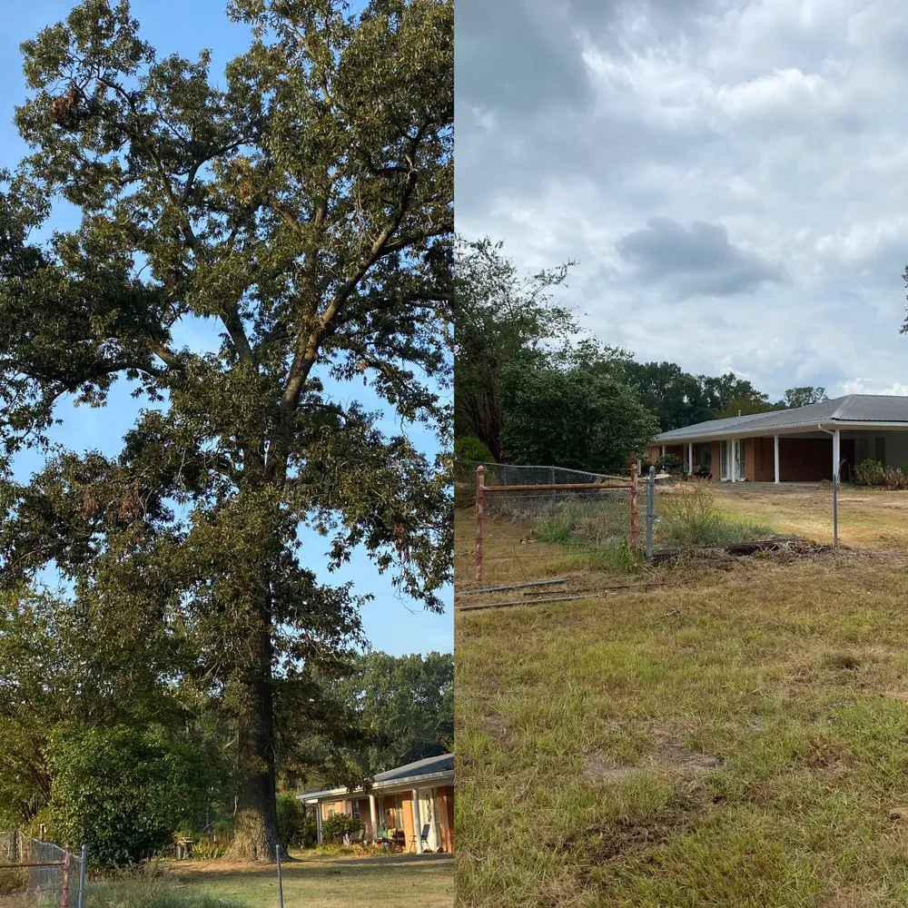 Professional outdoor landscaping near you across Jonesboro, LA - Tolers Tree Service