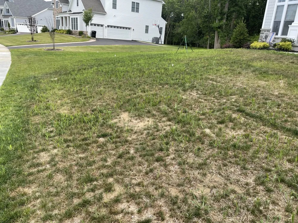 Expert outdoor landscaping in Colmar, PA - Toll Landscape