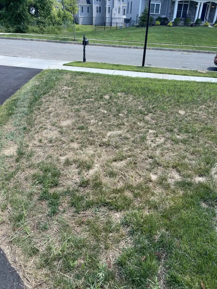 Reliable outdoor landscaping with custom design across Colmar, PA - Toll Landscape