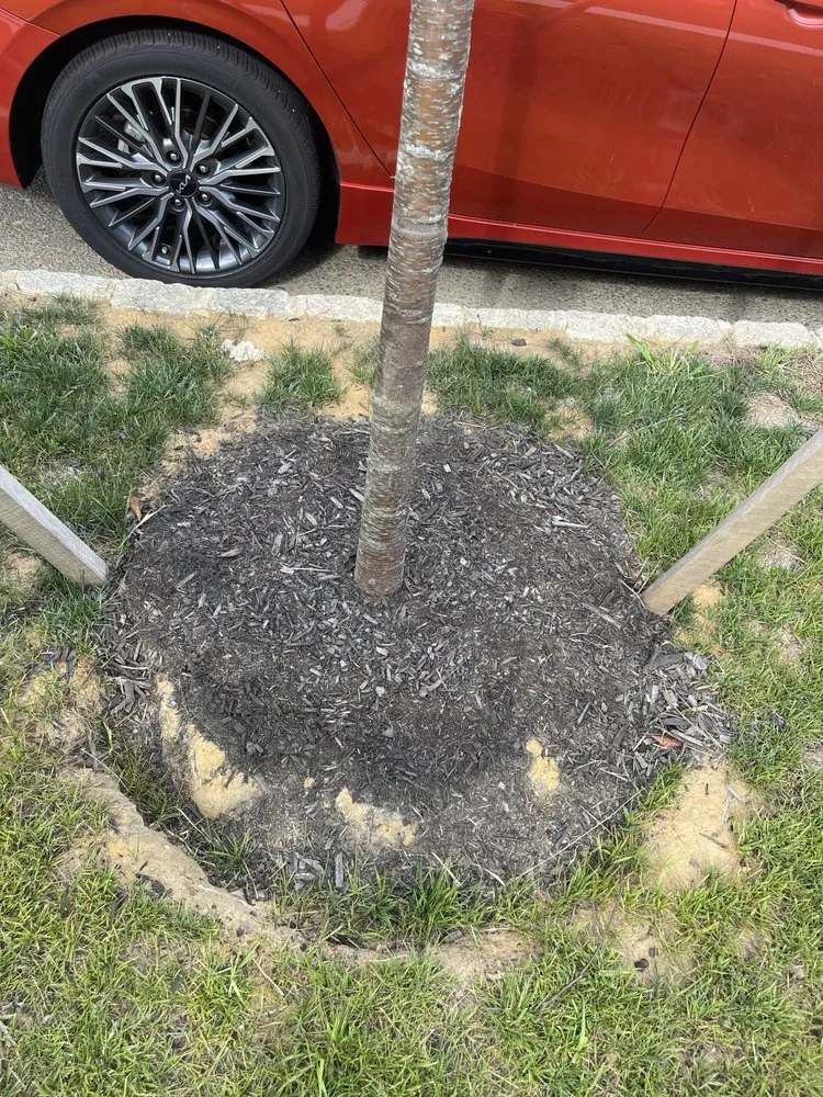 Expert yard maintenance experts serving Colmar, PA - Toll Landscape
