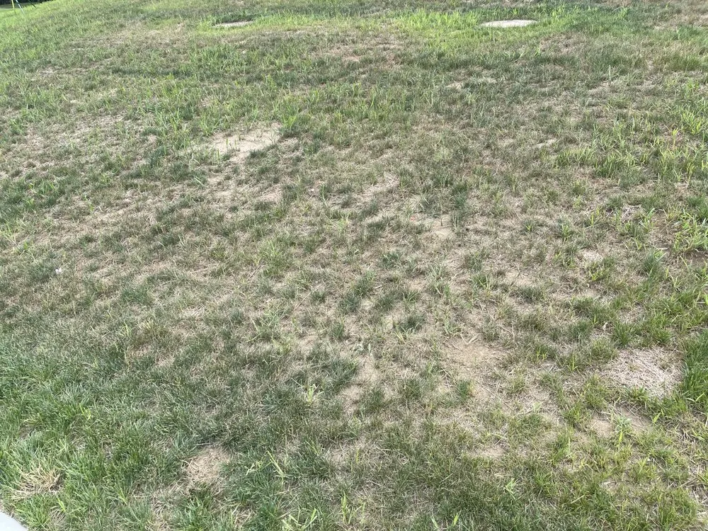 Professional yard cleanup service in Colmar, PA by Toll Landscape