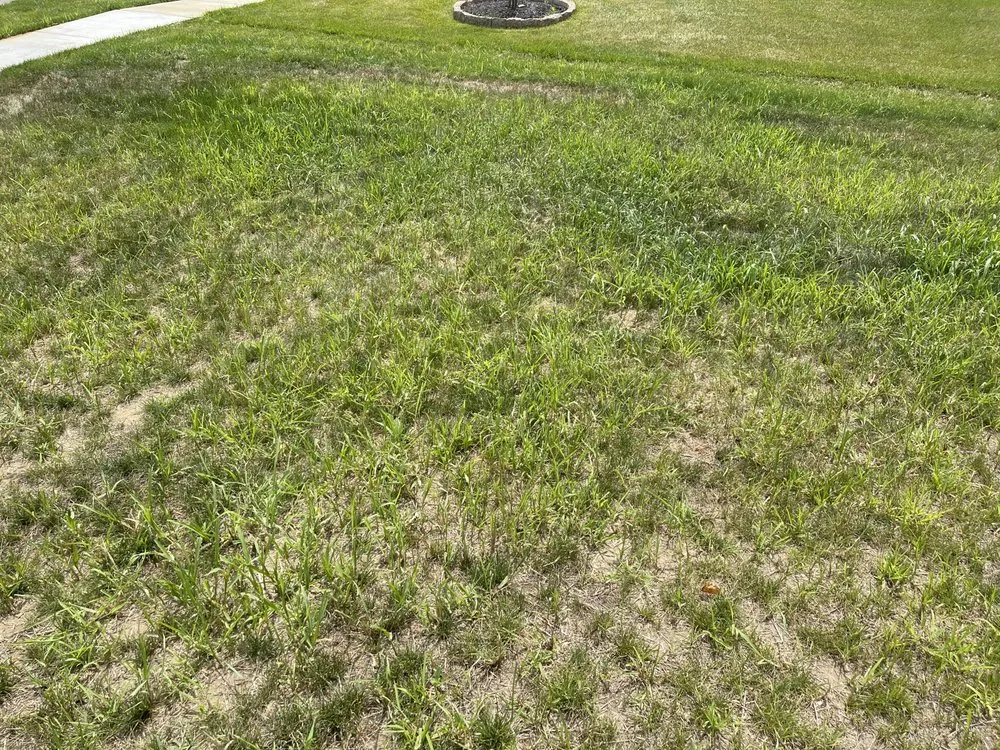Professional yard maintenance for year-round maintenance in Colmar, PA by Toll Landscape