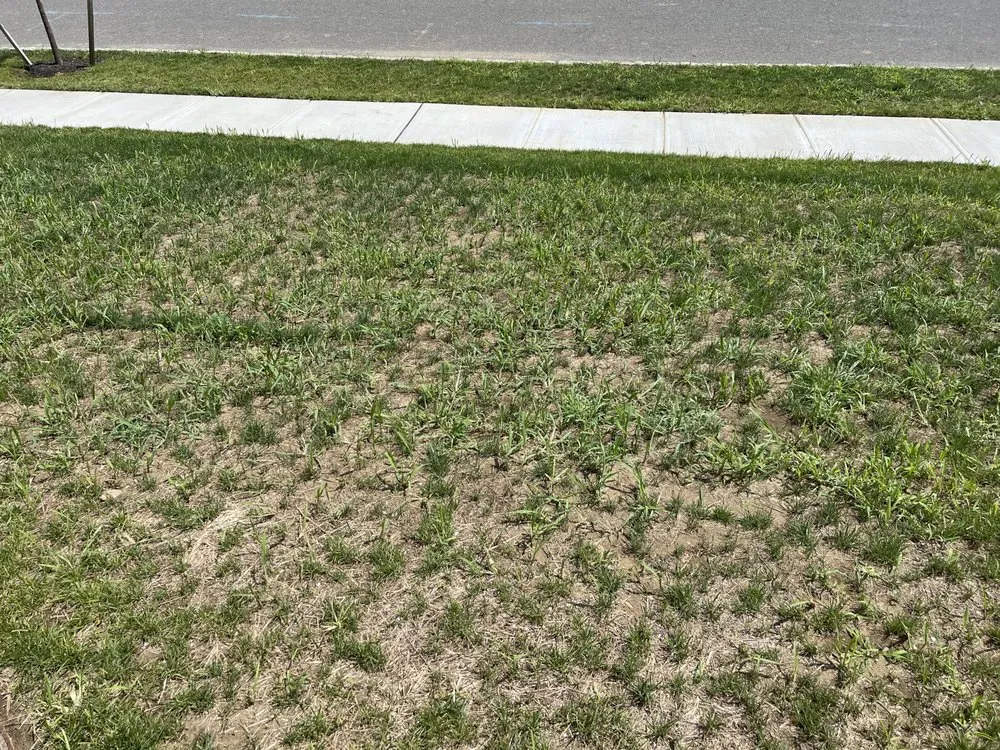 Custom outdoor landscaping experts serving Colmar, PA - Toll Landscape