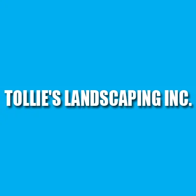Top-rated yard maintenance in Sylva, NC - Tollie's Landscaping