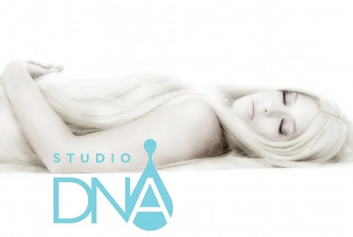 Trusted yard maintenance in Orange, CA - Tolly Landscape Incorporated