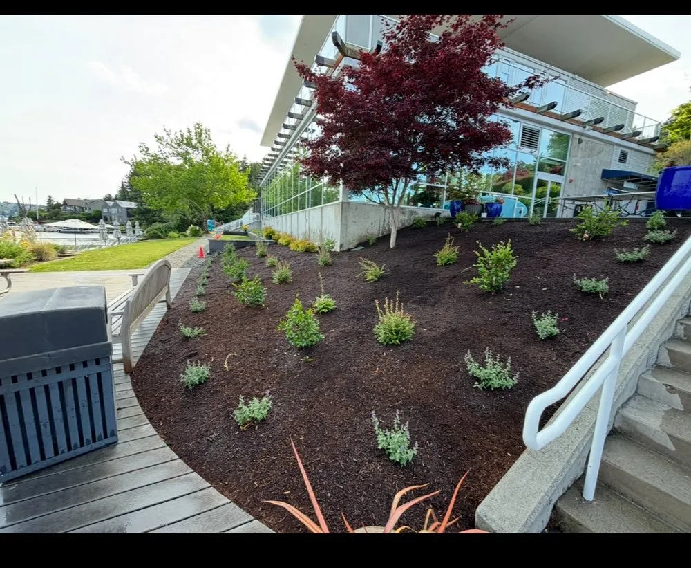 Local lawn care service in Issaquah, WA - Tolosa Landscaping