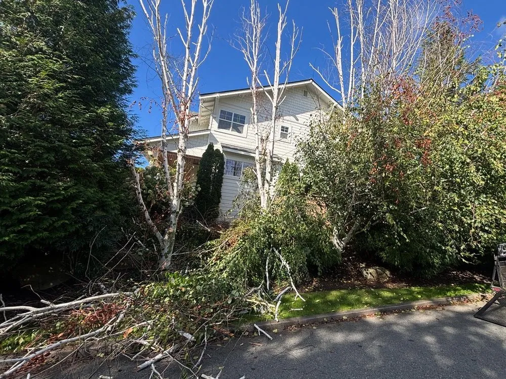 Affordable landscape design with custom design in Issaquah, WA by Tolosa Landscaping