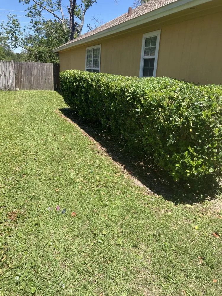 Local garden landscaping for year-round maintenance across Jacksonville, FL - Tolson Lawn Care