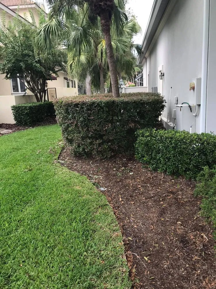 Professional lawn mowing service in Jacksonville, FL by Tolson Lawn Care