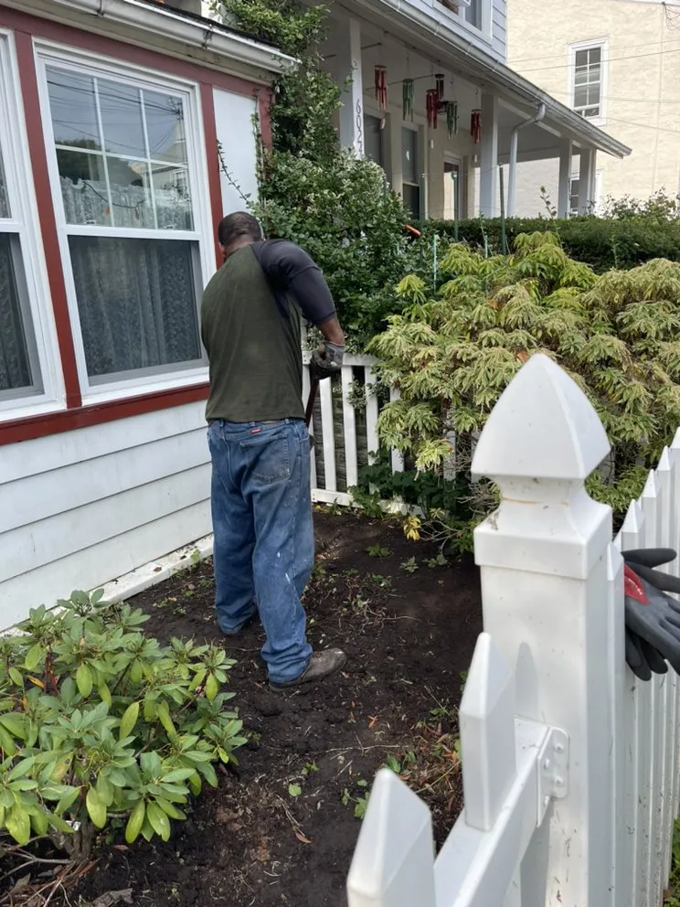 Professional yard cleanup service in Philadelphia, PA by Tolsons Enterprise