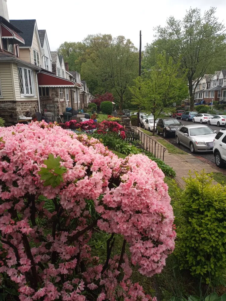 Top-rated garden landscaping in Philadelphia, PA by Tolsons Enterprise