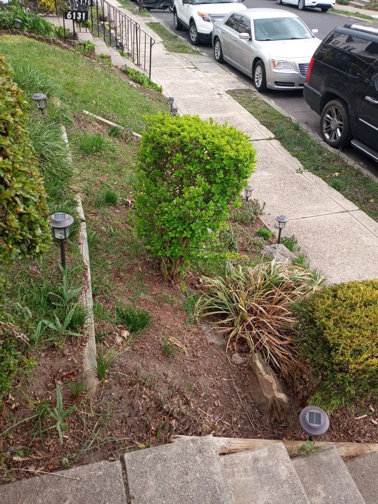 Affordable residential landscaping in Philadelphia, PA - Tolsons Enterprise