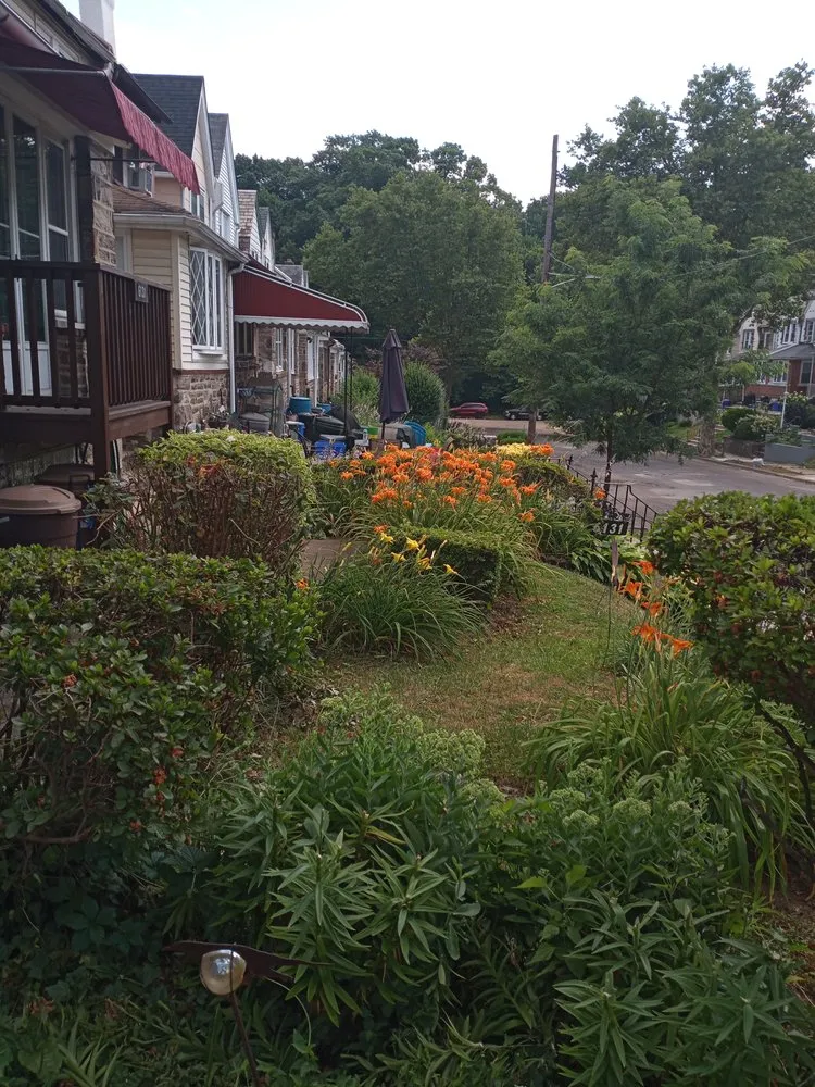 Professional residential landscaping for beautiful yards in Philadelphia, PA by Tolsons Enterprise
