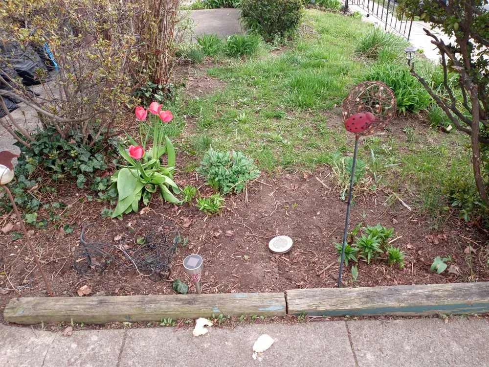 Custom residential landscaping in Philadelphia, PA by Tolsons Enterprise