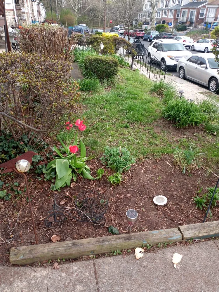 Trusted residential landscaping in Philadelphia, PA by Tolsons Enterprise