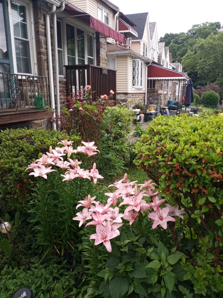 Local lawn mowing service in Philadelphia, PA - Tolsons Enterprise