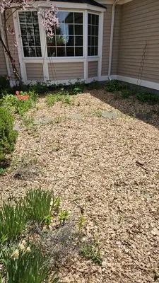 Tom & Bros Landscaping