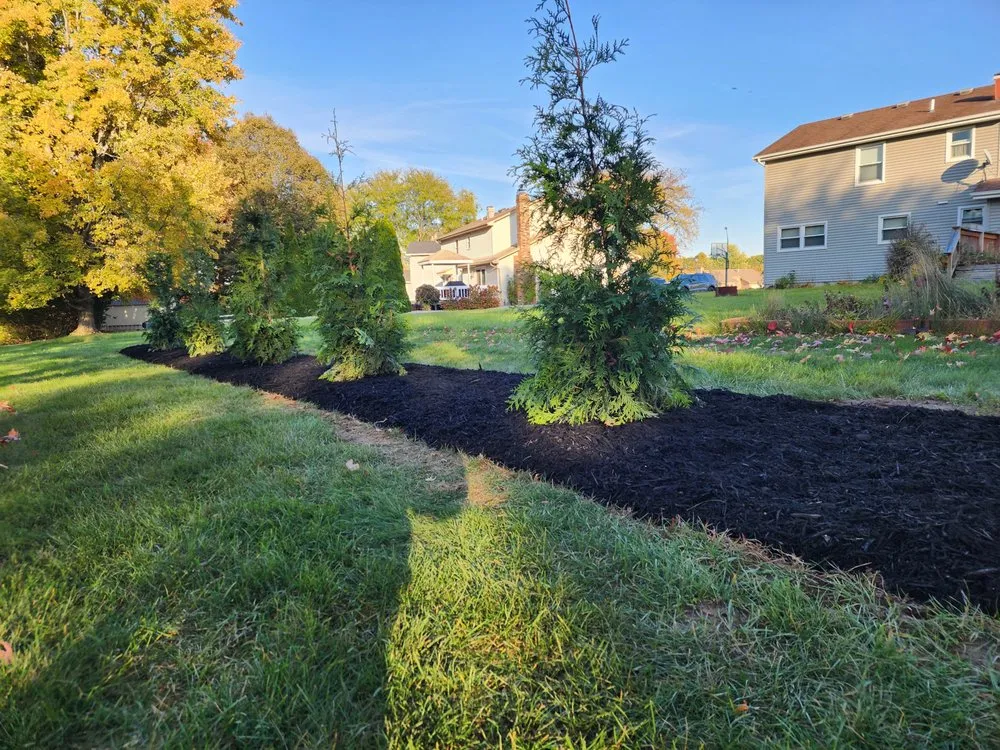 Expert yard cleanup service in Youngstown, OH - Tom B Landscape and Design