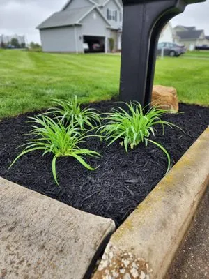 Tom B Landscape and Design Logo