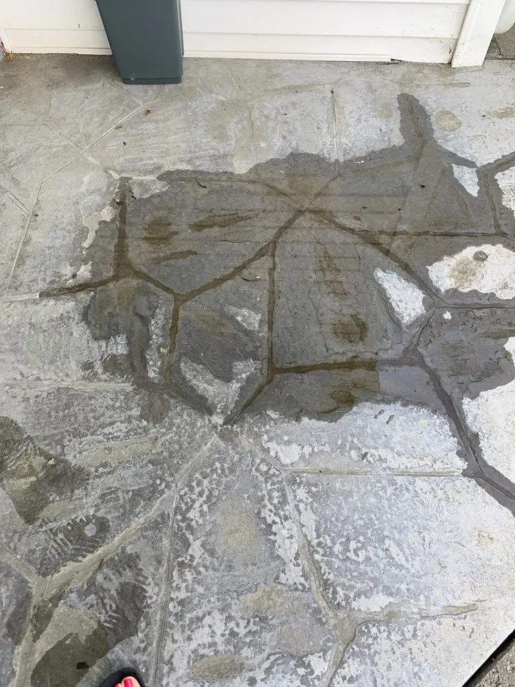 Trusted lawn care service in Hudson, NY by Tom Banks Contracting