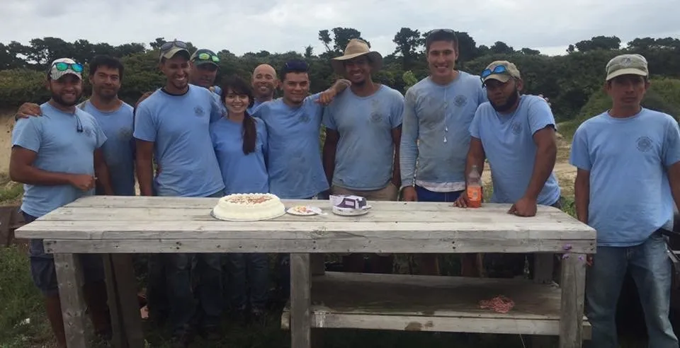 Trusted outdoor landscaping experts serving Nantucket, MA - Tom Hanlon Landscaping