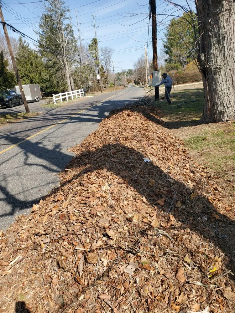 Custom landscaping services for beautiful yards in Long Branch, NJ by Tom Landscape Maintenance