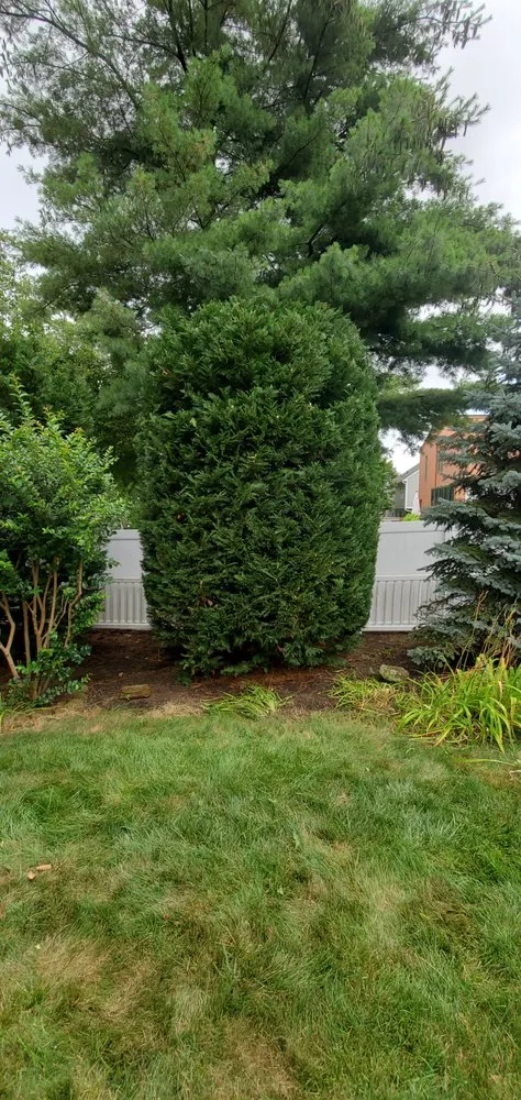 Top-rated garden landscaping in Long Branch, NJ - Tom Landscape Maintenance