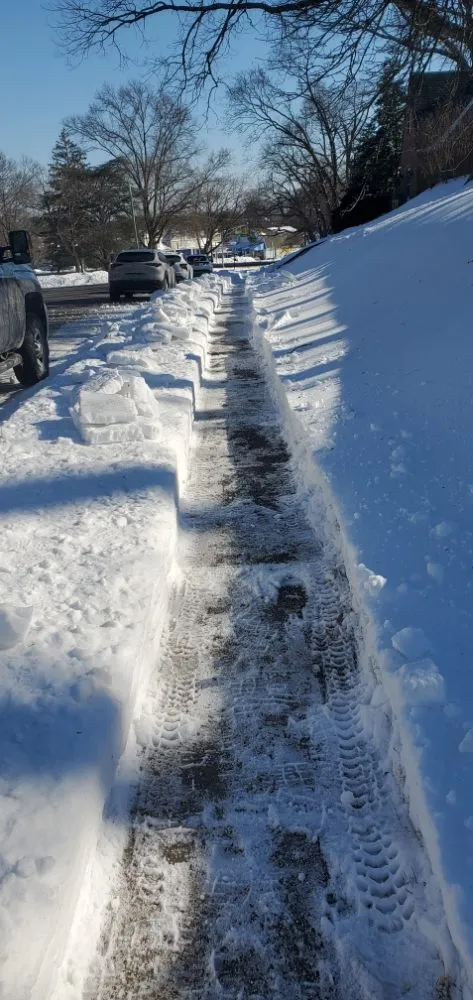 Top-rated yard cleanup service for year-round maintenance in Long Branch, NJ by Tom Landscape Maintenance