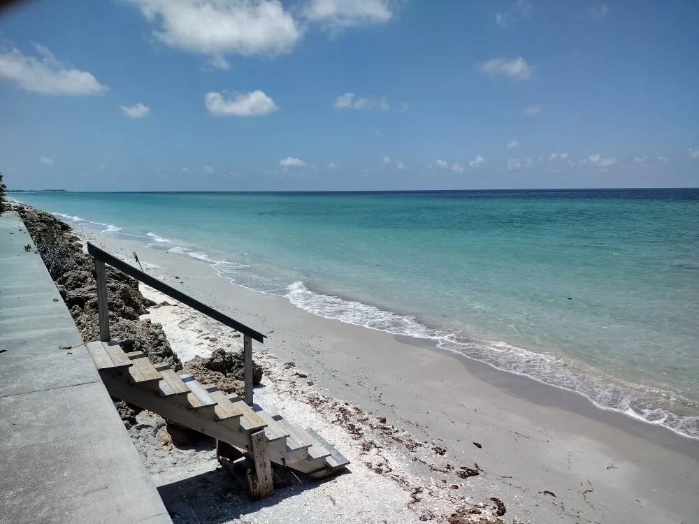 Top-rated yard cleanup service in Arcadia, FL - Tom Larsen Landscapes