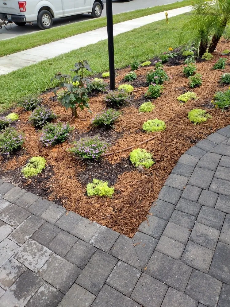 Trusted lawn mowing service in Arcadia, FL by Tom Larsen Landscapes
