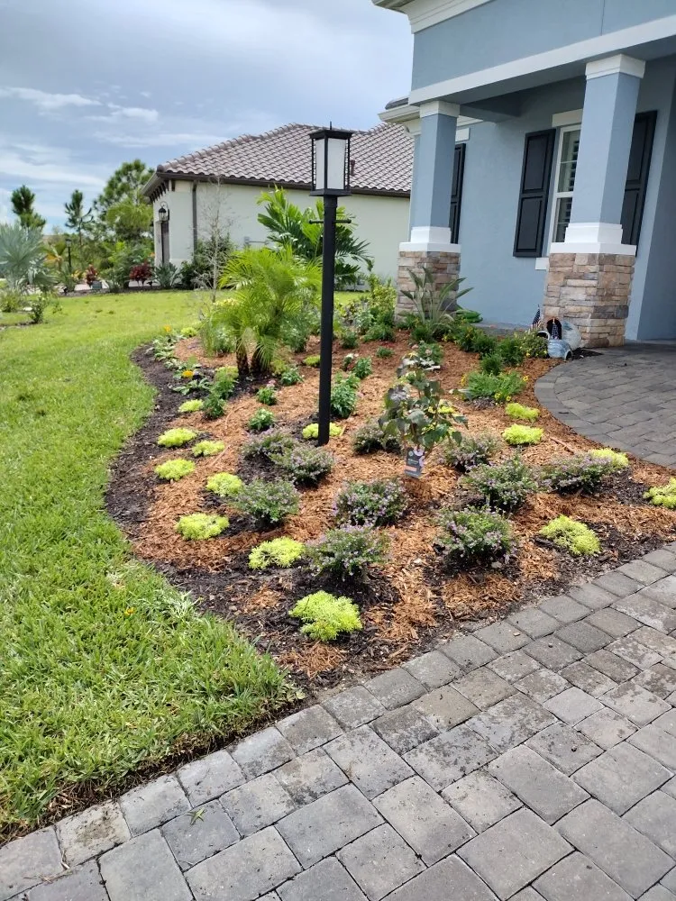 Reliable yard maintenance for homes across Arcadia, FL - Tom Larsen Landscapes