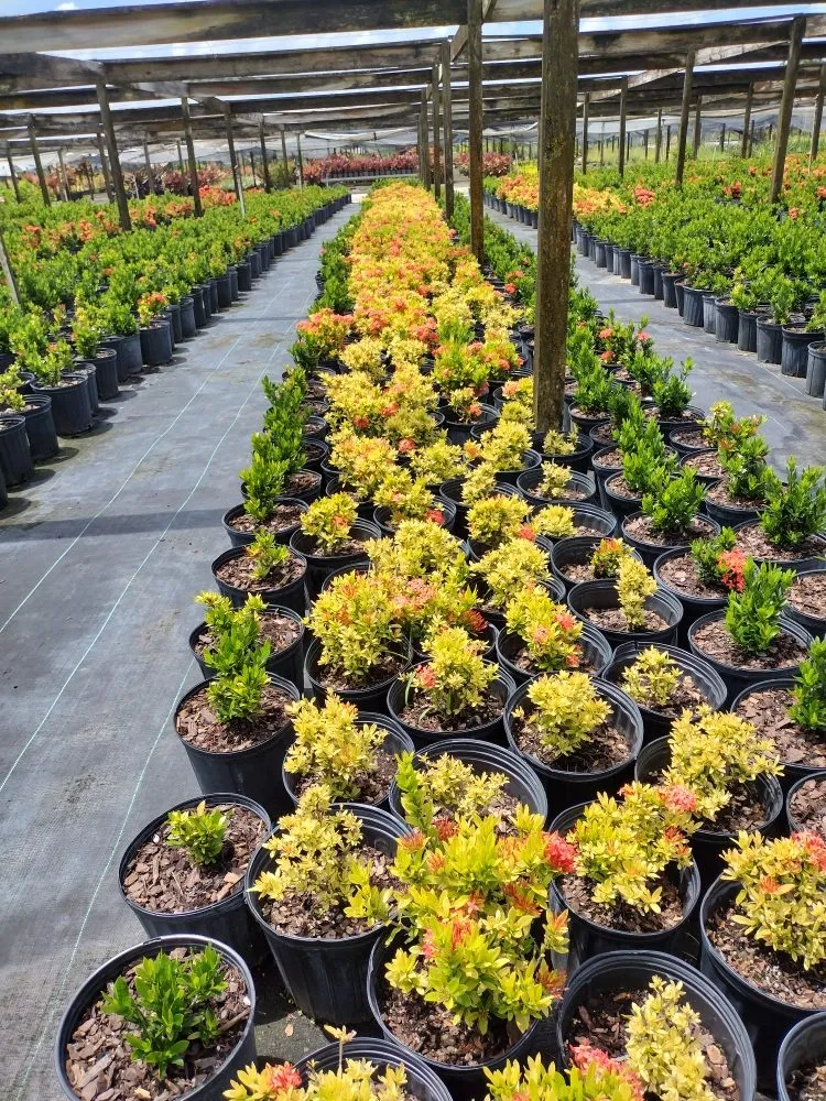 Trusted landscape installation for homes in Arcadia, FL by Tom Larsen Landscapes