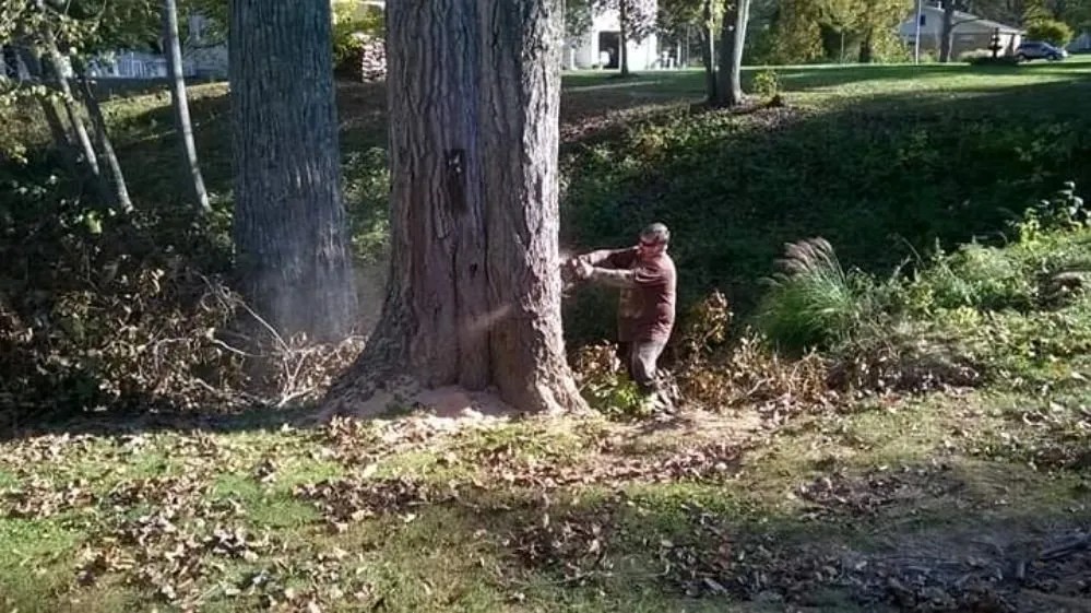 Expert lawn care service in California, KY by Tom Mattingly Tree Service