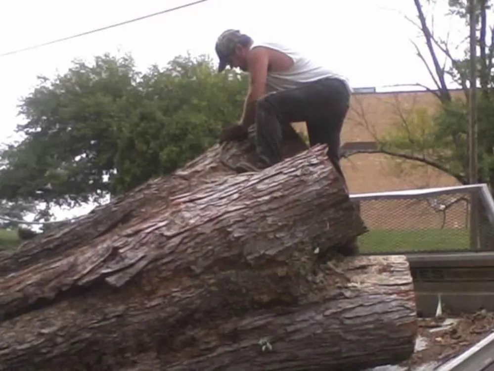 Professional landscaping services for homes in California, KY by Tom Mattingly Tree Service