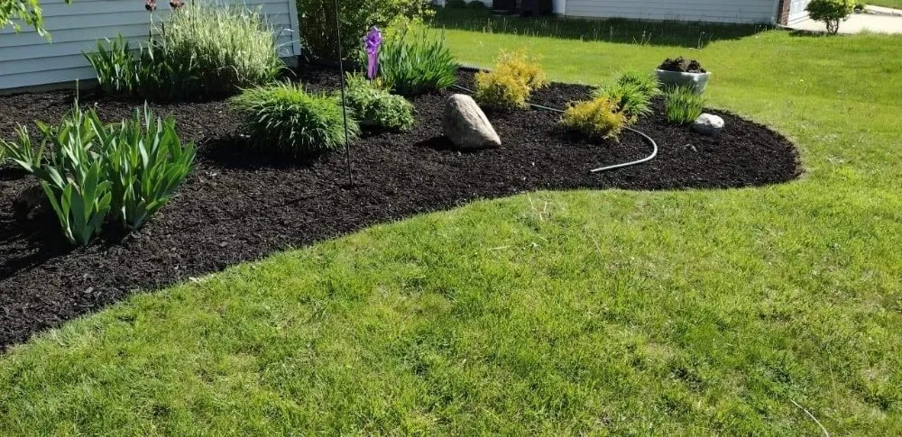 Professional yard maintenance in Fort Wayne, IN by Tom N Erics Home N Lawncare