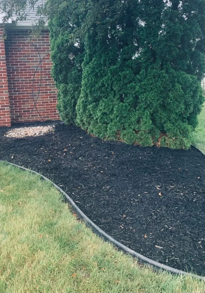 Top-rated residential landscaping for outdoor upgrades across Fort Wayne, IN - Tom N Erics Home N Lawncare