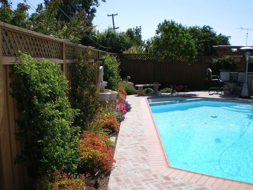 Trusted yard cleanup service in Santa Cruz, CA - Tom Reily Landscape