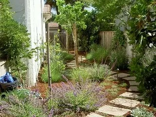 Expert yard maintenance for outdoor upgrades across Santa Cruz, CA - Tom Reily Landscape