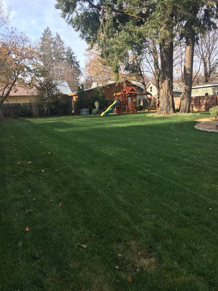 Local lawn care service experts serving Kootenai, ID - Tom Tharp Lawn Care