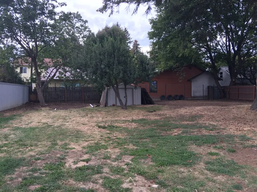 Affordable lawn mowing service in Kootenai, ID - Tom Tharp Lawn Care