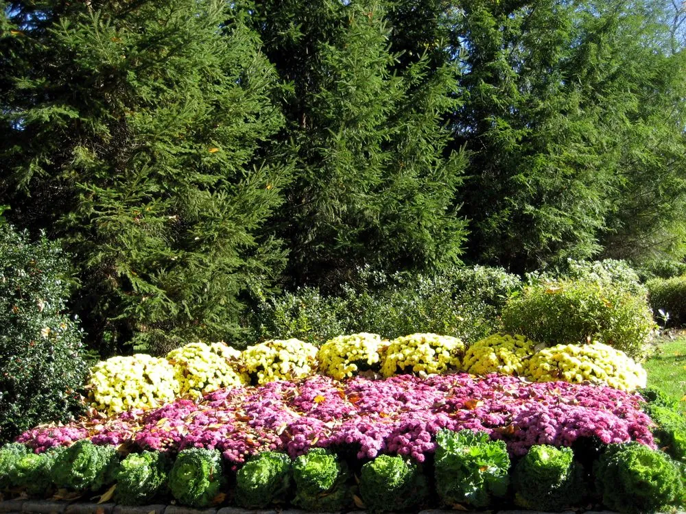 Custom lawn mowing service in Briarcliff Manor, NY - Tom Williamson Landscaping