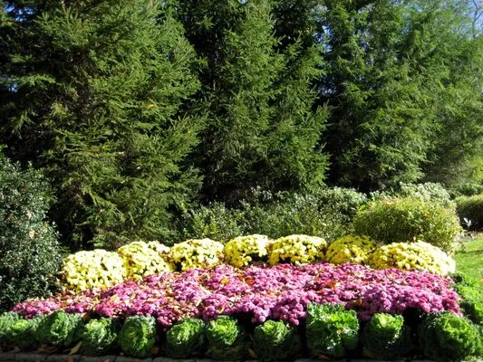 Tom Williamson Landscaping